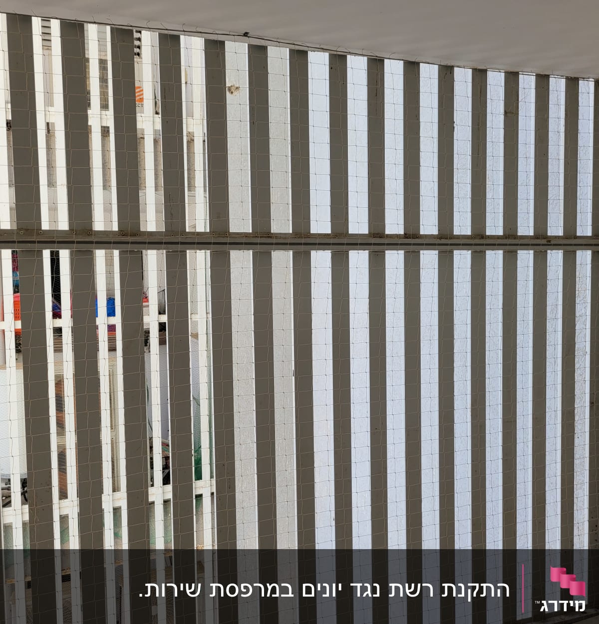 רשת מתכת מותקנת על חלון למניעת כניסת יונים